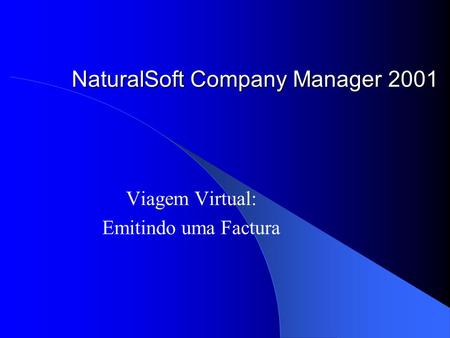 NaturalSoft Company Manager 2001