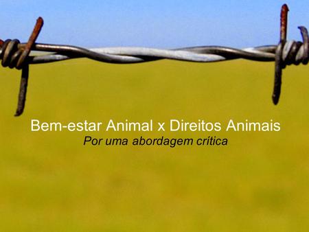 Bem-estar Animal x Direitos Animais Por uma abordagem crítica