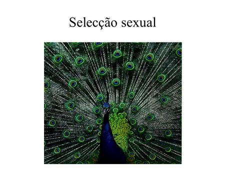 Selecção sexual.