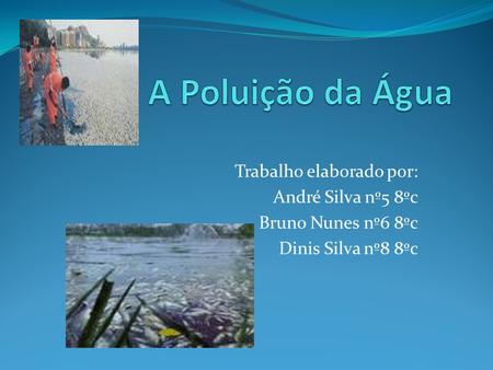 A Poluição da Água Trabalho elaborado por: André Silva nº5 8ºc
