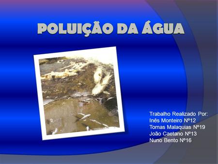 Poluição da Água Trabalho Realizado Por: Inês Monteiro Nº12