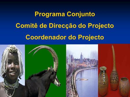 Programa Conjunto Comitê de Direcção do Projecto Coordenador do Projecto.