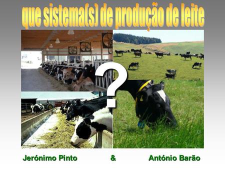 Jerónimo Pinto & António Barão ?. condições locais indústria contexto sistema produção Regularidadade vs Sazonalidade Destino produção.