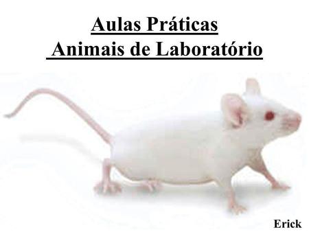 Aulas Práticas Animais de Laboratório