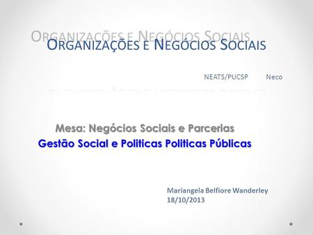 Organizações e Negócios Sociais