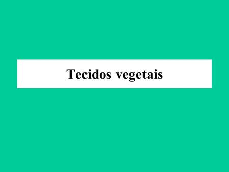 Tecidos vegetais.
