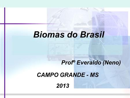Biomas do Brasil Profº Everaldo (Neno) CAMPO GRANDE - MS 2013.