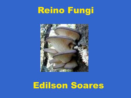 Reino Fungi Edilson Soares.