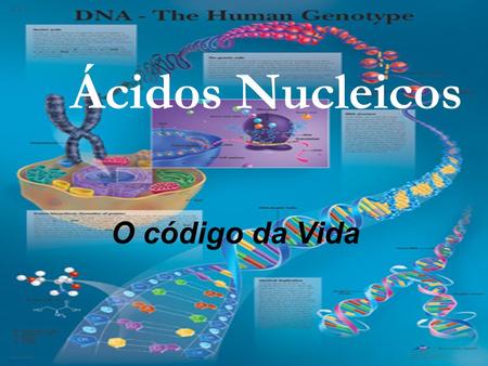 Ácidos Nucleicos O código da Vida.