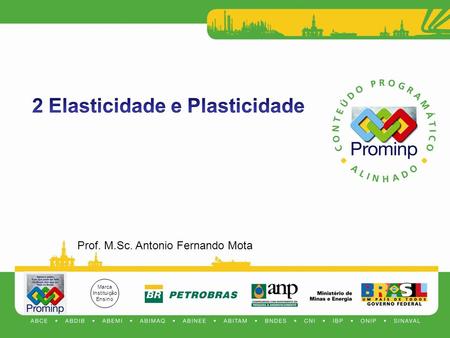 2 Elasticidade e Plasticidade