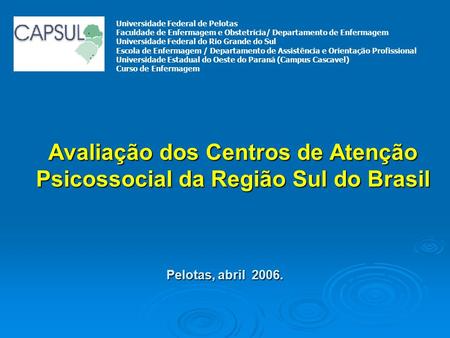 Avaliação dos Centros de Atenção Psicossocial da Região Sul do Brasil