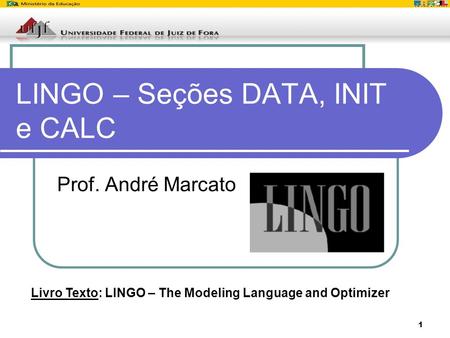 LINGO – Seções DATA, INIT e CALC