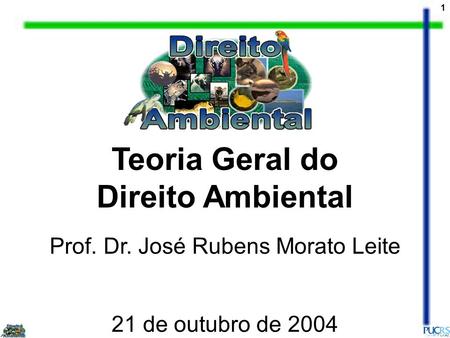 Prof. Dr. José Rubens Morato Leite