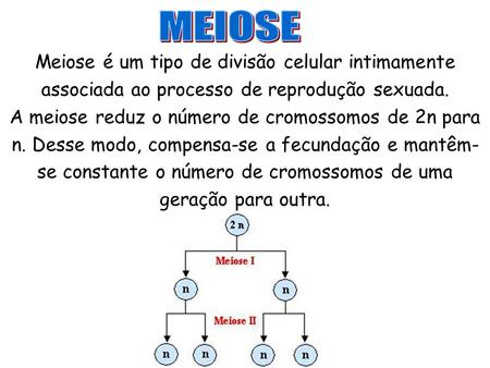 MEIOSE Meiose é um tipo de divisão celular intimamente associada ao processo de reprodução sexuada. A meiose reduz o número de cromossomos de 2n para n.