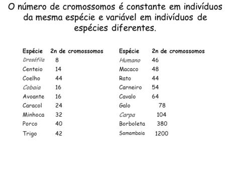 O número de cromossomos é constante em indivíduos da mesma espécie e variável em indivíduos de espécies diferentes. Espécie 2n de cromossomos Drosófila.