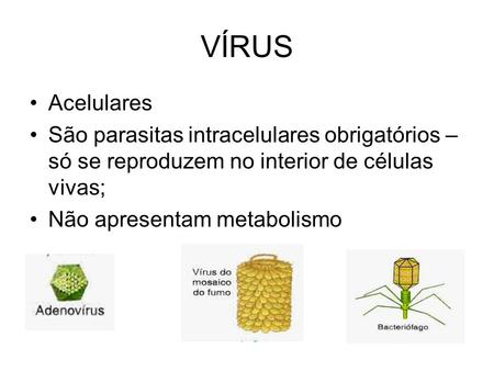 VÍRUS Acelulares São parasitas intracelulares obrigatórios – só se reproduzem no interior de células vivas; Não apresentam metabolismo.