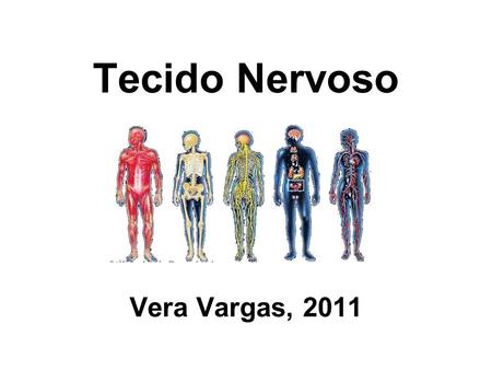 Tecido Nervoso Vera Vargas, 2011.