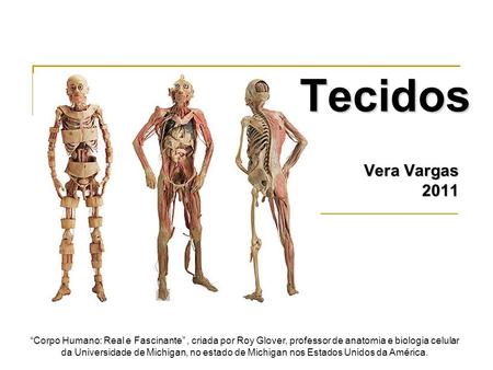 Tecidos Vera Vargas 2011 “Corpo Humano: Real e Fascinante” , criada por Roy Glover, professor de anatomia e biologia celular da Universidade de Michigan,