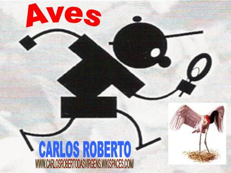 Aves CARLOS ROBERTO WWW.CARLOSROBERTODASVIRGENS.WIKISPACES.COM/