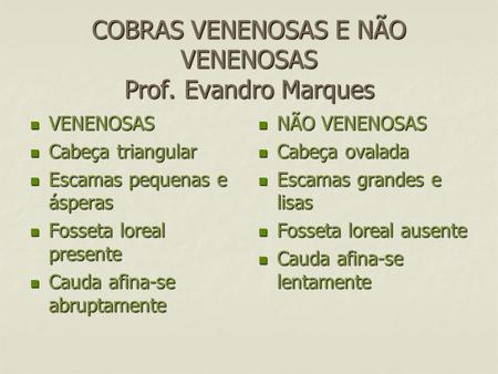 COBRAS VENENOSAS E NÃO VENENOSAS Prof. Evandro Marques