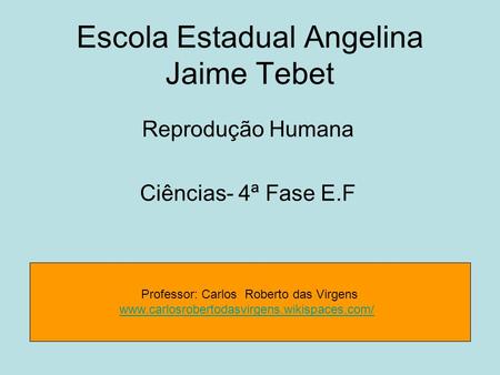 Escola Estadual Angelina Jaime Tebet