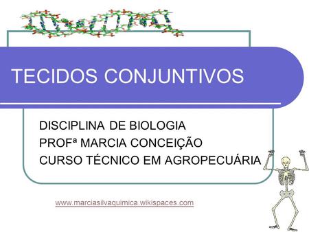TECIDOS CONJUNTIVOS DISCIPLINA DE BIOLOGIA PROFª MARCIA CONCEIÇÃO