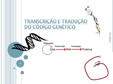 Transcrição e Tradução do Código Genético