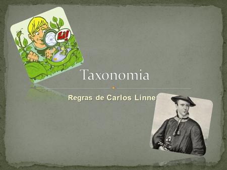 Regras de Carlos Linneu