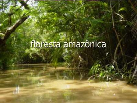 Floresta amazônica. Itens pesquisados Localização Localização Características do ambiente Características do ambiente Clima Clima Vegetação Vegetação.
