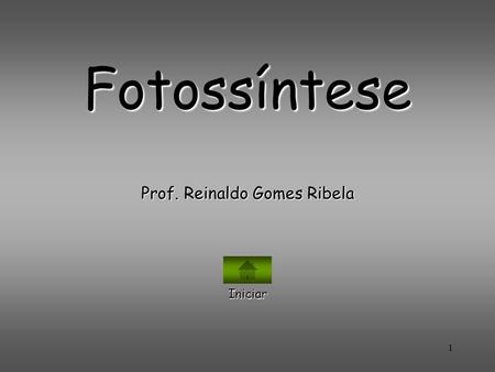 Prof. Reinaldo Gomes Ribela