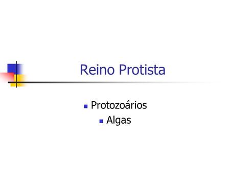 Reino Protista Protozoários Algas.