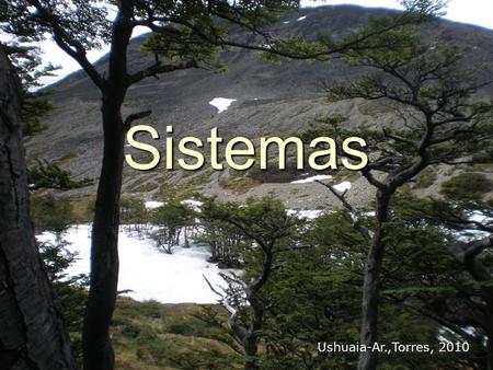 Sistemas Ushuaia-Ar.,Torres, 2010.