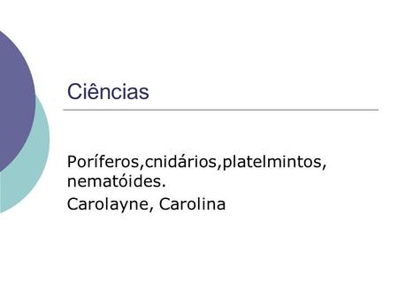 Poríferos,cnidários,platelmintos, nematóides. Carolayne, Carolina