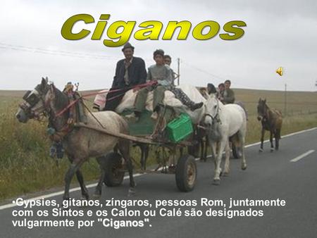 Ciganos Gypsies, gitanos, zíngaros, pessoas Rom, juntamente com os Sintos e os Calon ou Calé são designados vulgarmente por Ciganos.