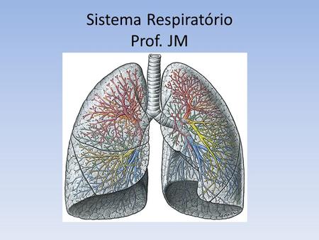 Sistema Respiratório Prof. JM