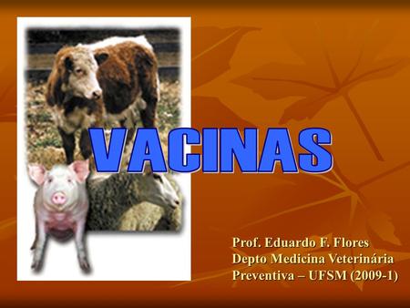 VACINAS Prof. Eduardo F. Flores Depto Medicina Veterinária