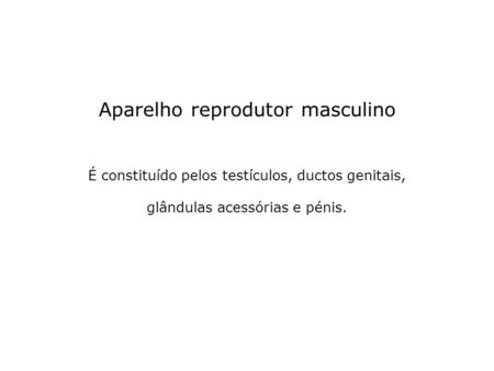 Aparelho reprodutor masculino É constituído pelos testículos, ductos genitais, glândulas acessórias e pénis.