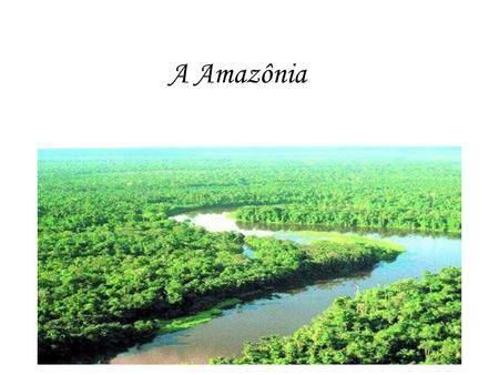 A Amazônia.