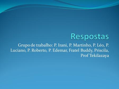 Grupo de trabalho: P. Irani, P. Martinho, P. Léo, P. Luciano, P. Roberto, P. Edemar, Fratel Buddy, Priscila, Prof Tekilazaya.