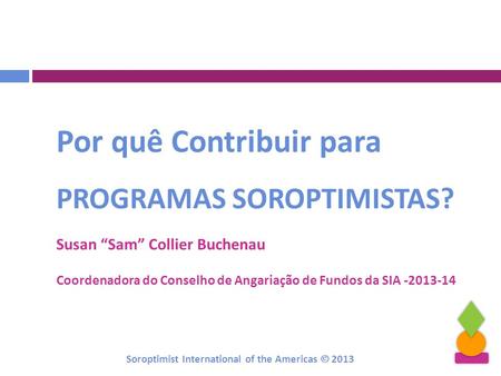 Soroptimist International of the Americas  2013