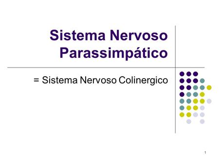 Sistema Nervoso Parassimpático