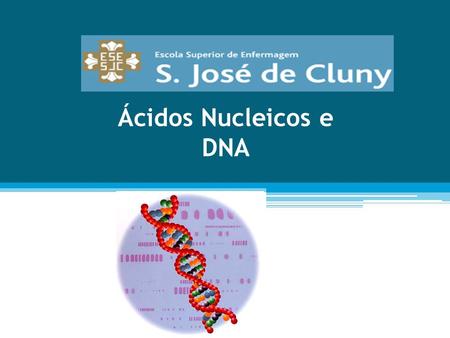 Ácidos Nucleicos e DNA.