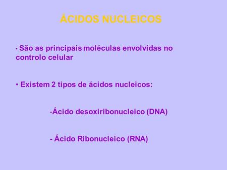 ÁCIDOS NUCLEICOS Existem 2 tipos de ácidos nucleicos: