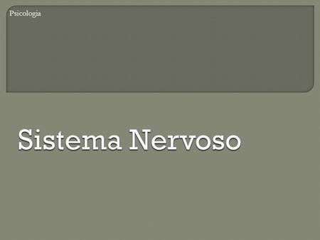 Psicologia Sistema Nervoso.