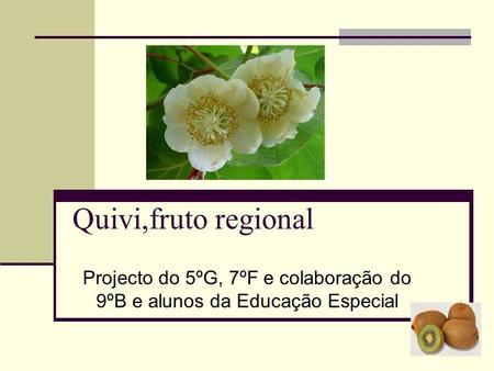 Quivi,fruto regional Projecto do 5ºG, 7ºF e colaboração do 9ºB e alunos da Educação Especial.