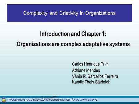 Complexity and Criativity in Organizations