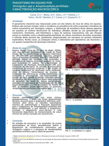 PARASITISMO EM EQUINO POR Strongylus spp e Anoplocephala perfoliata :