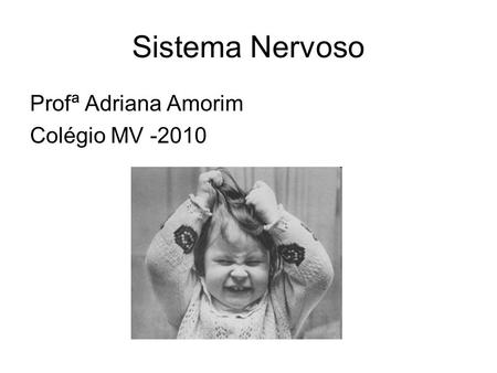 Sistema Nervoso Profª Adriana Amorim Colégio MV -2010.