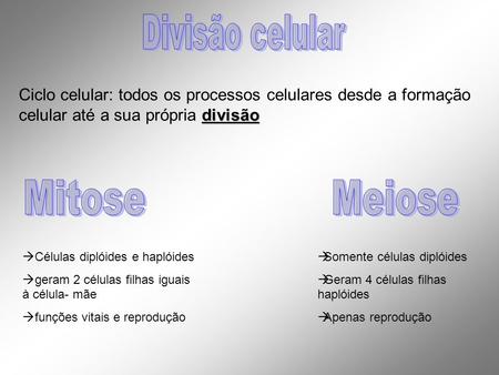 Divisão celular Mitose Meiose