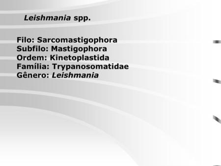 Leishmania spp. Filo: Sarcomastigophora Subfilo: Mastigophora
